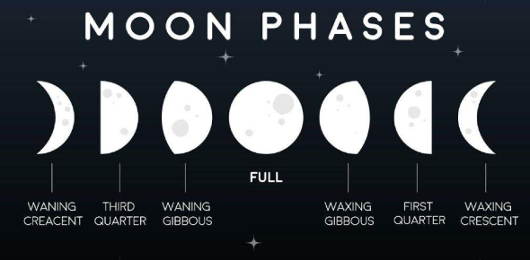 Quiz On The Phases Of Moon - Trivia &amp; Questions